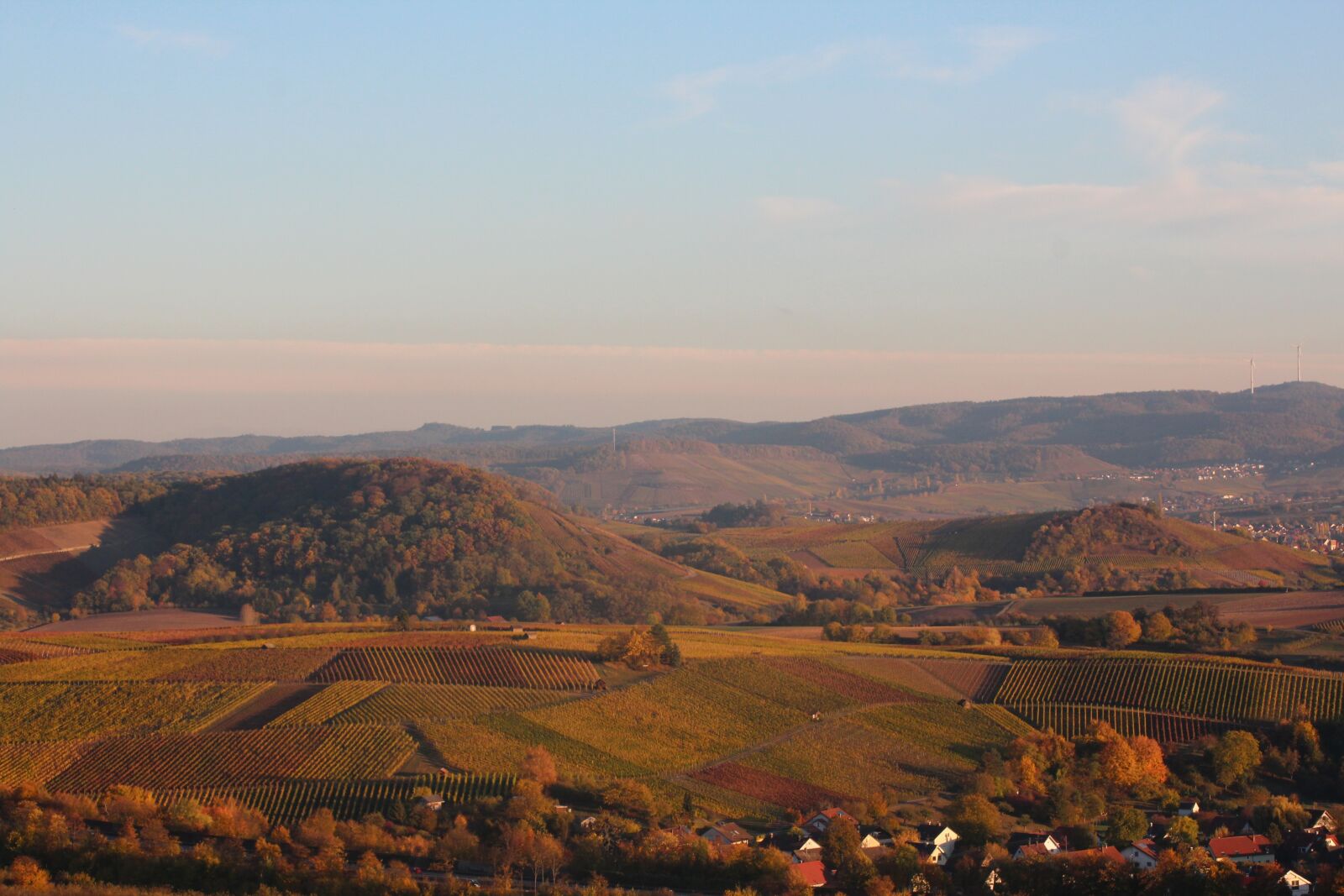 Canon EOS 600D (Rebel EOS T3i / EOS Kiss X5) sample photo. Nature, vineyard, rebstock photography