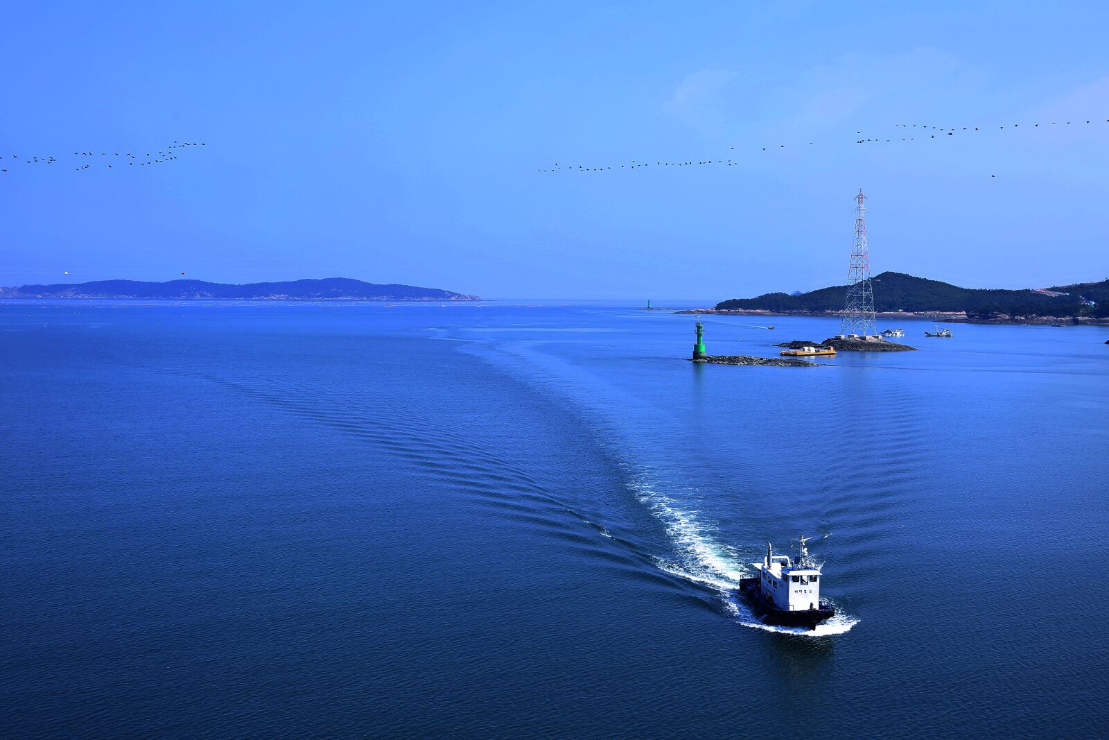 Canon EOS 5D Mark III sample photo. Sea, migratory birds, nature photography