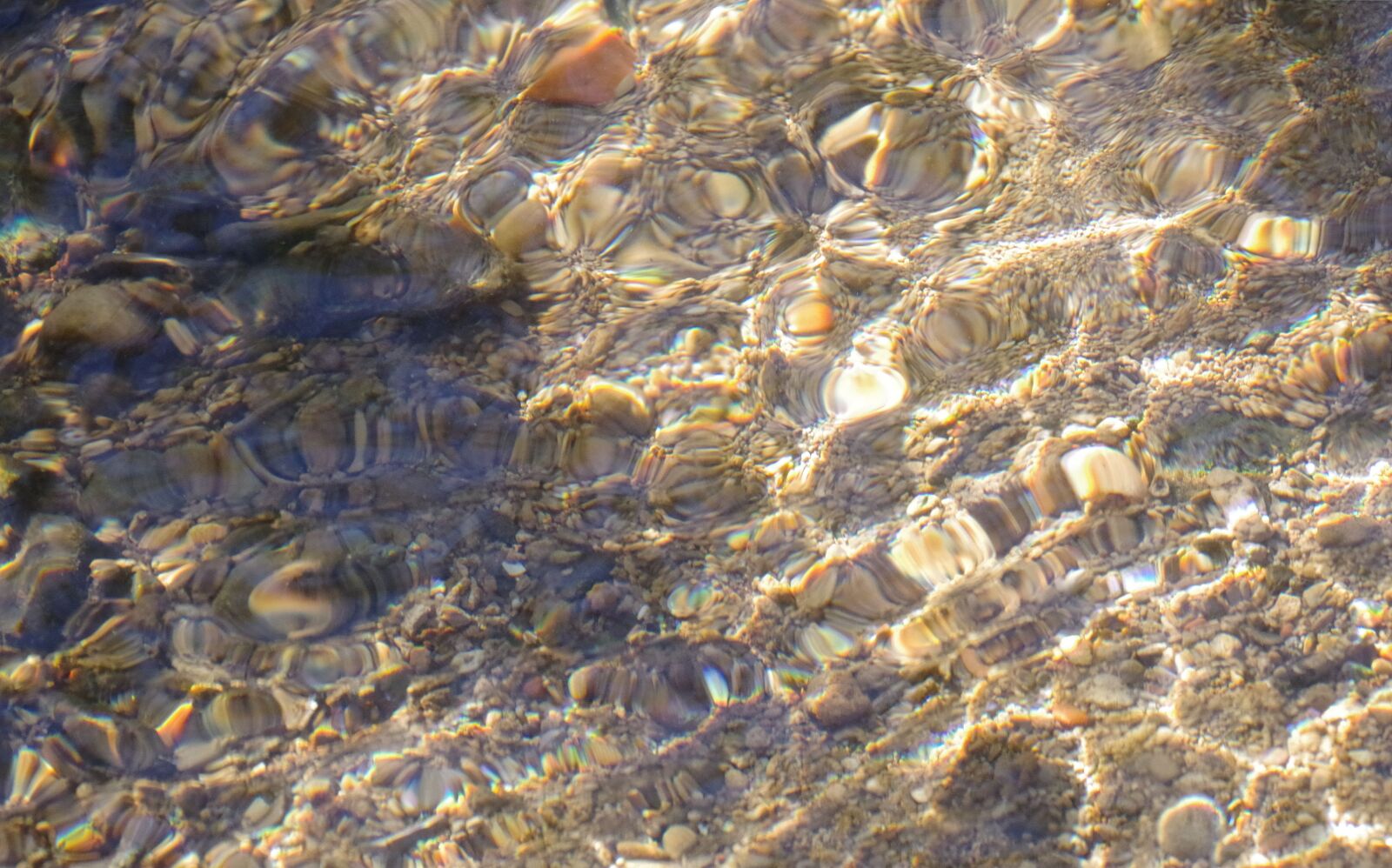 Pentax K-70 sample photo. Bach, mirroring, water photography
