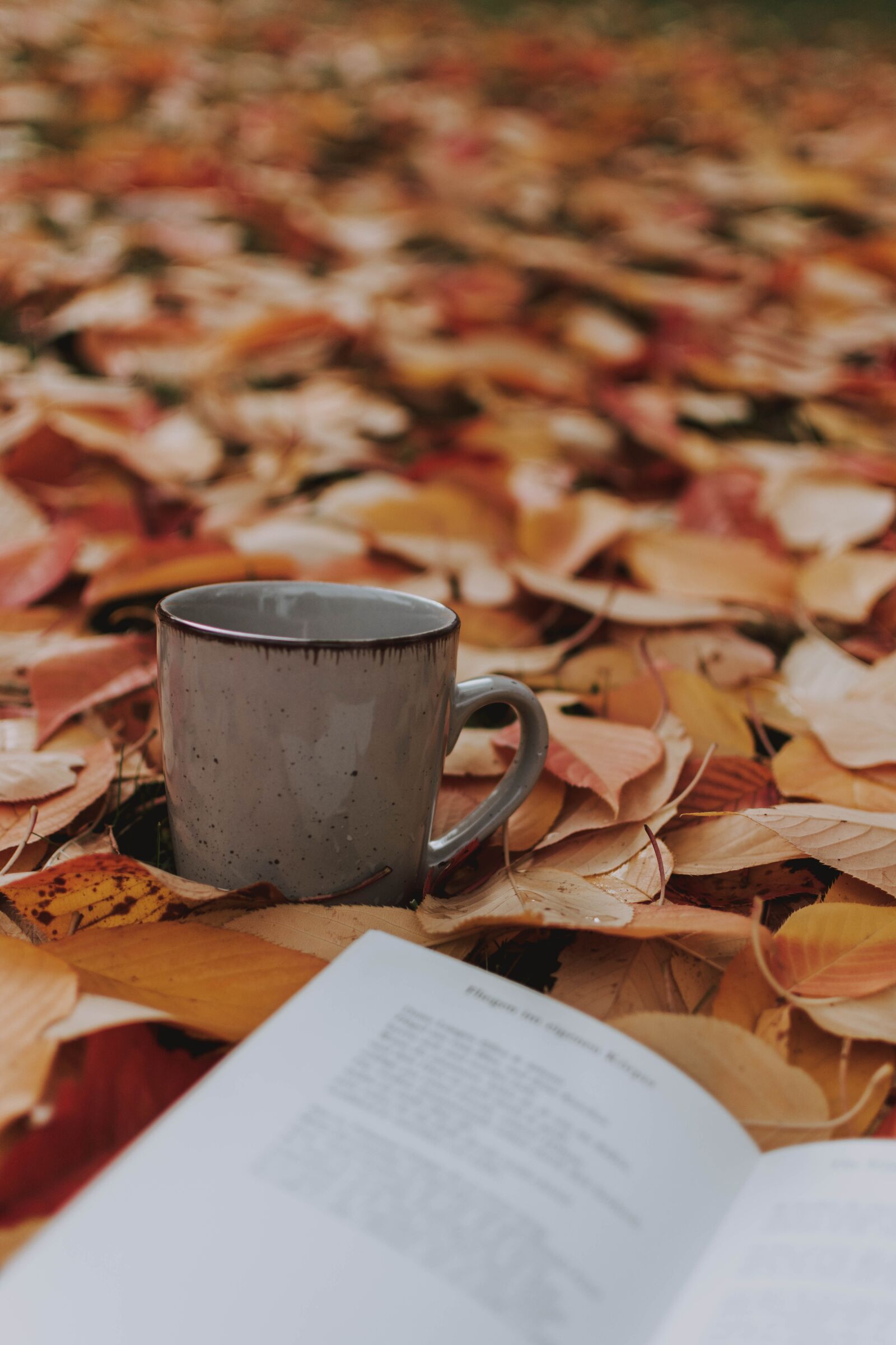 Nikon D5200 sample photo. Autumn, leaves, book photography