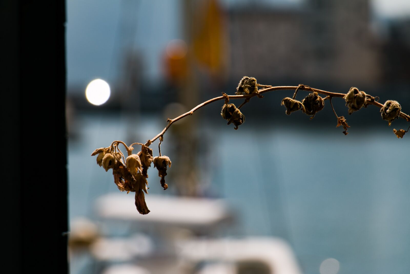 Canon EOS 70D sample photo. Landscape, japan, sea photography