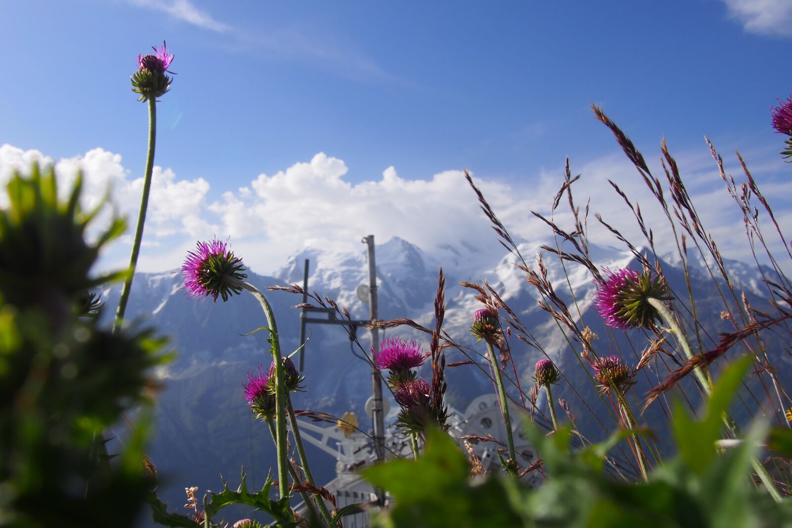Olympus PEN E-PL6 sample photo. Travel, nature, scenic photography