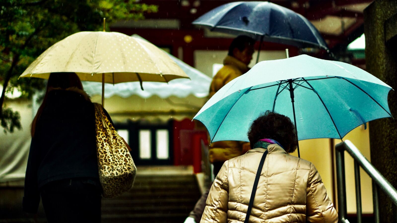 Sony Alpha NEX-6 + E 50mm F1.8 OSS sample photo. Street view, rain, umbrella photography