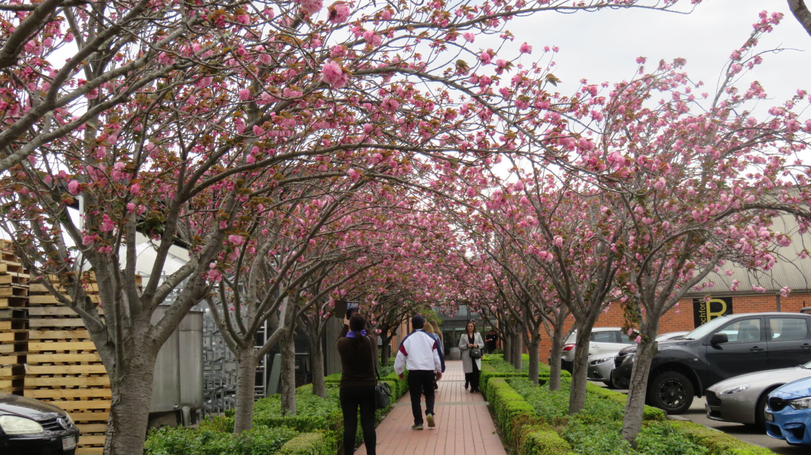 Canon PowerShot SX710 HS sample photo