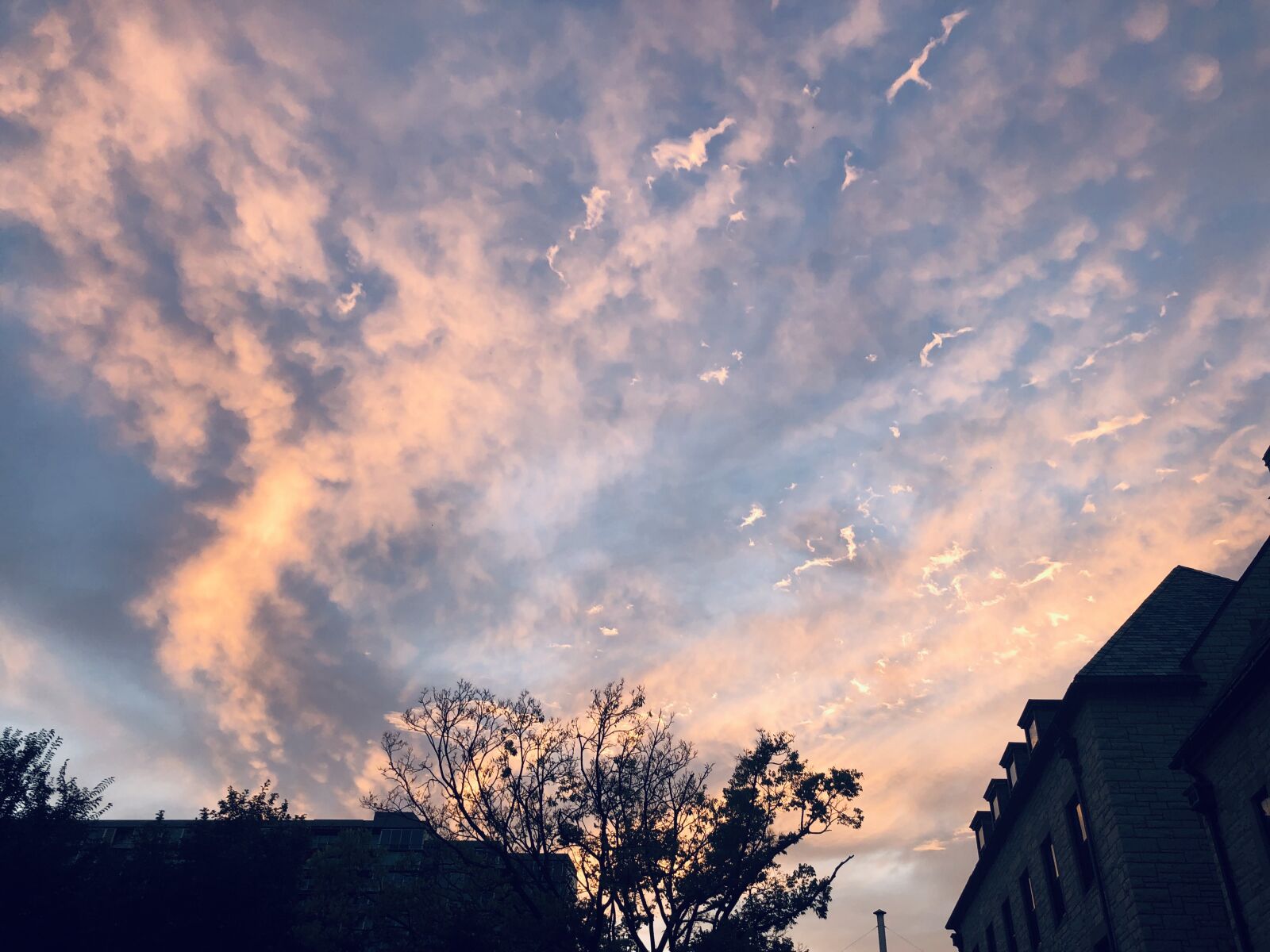 iPhone X back dual camera 4mm f/1.8 sample photo. Sky, clouds, sunset photography