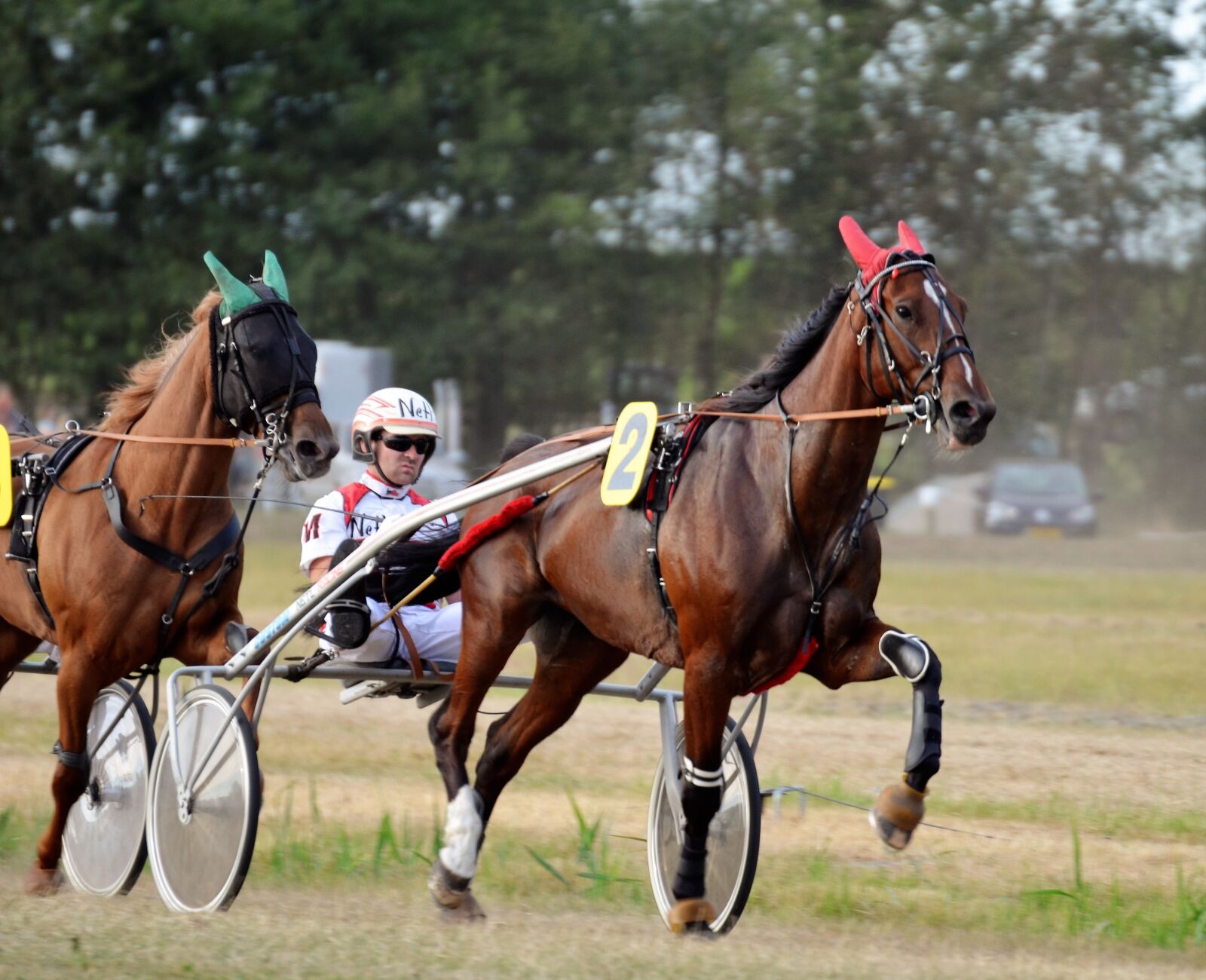 Nikon D5100 sample photo. Trotting, sulky, equestrian photography