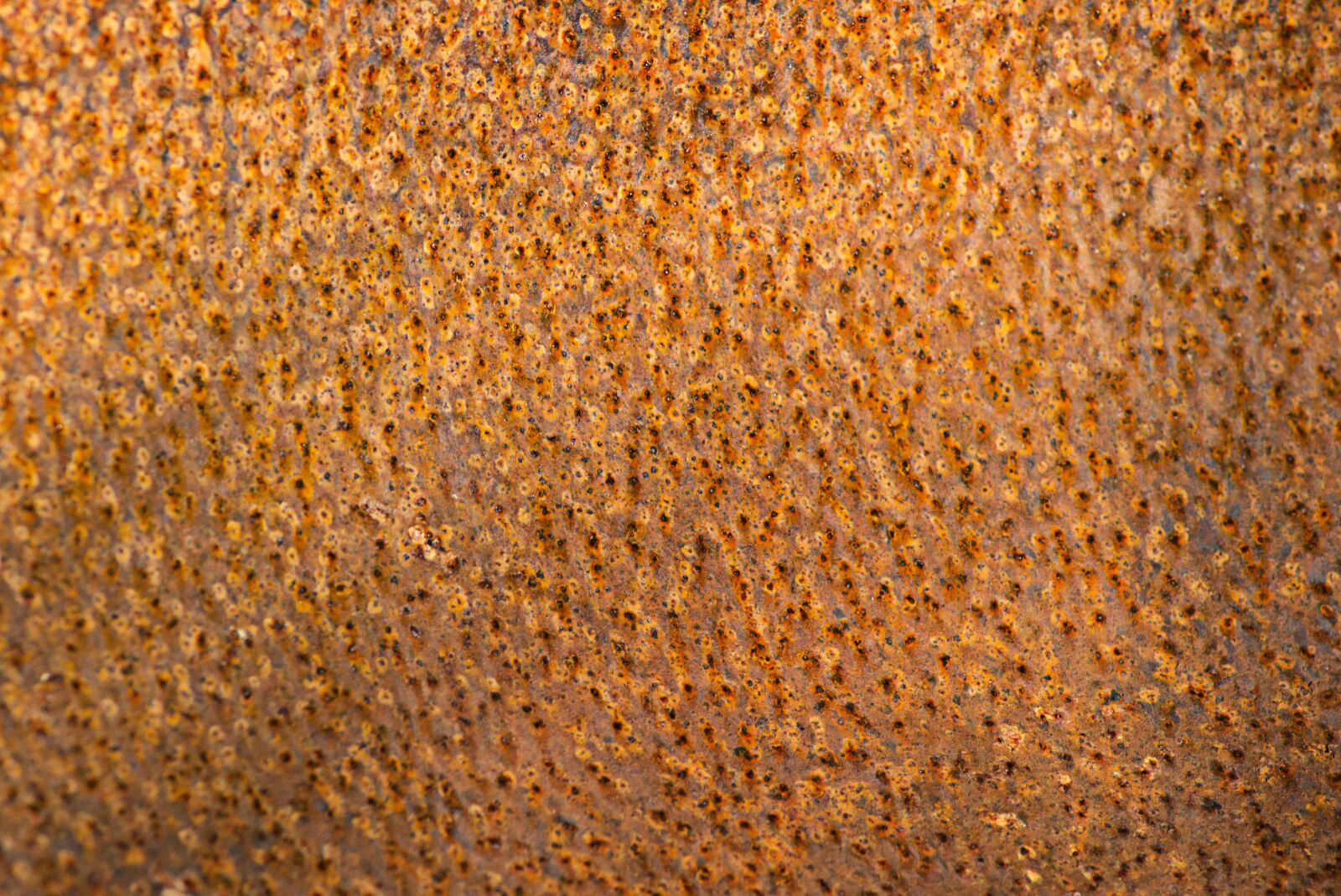 Sony SLT-A57 sample photo. Rust, rusty, metal photography