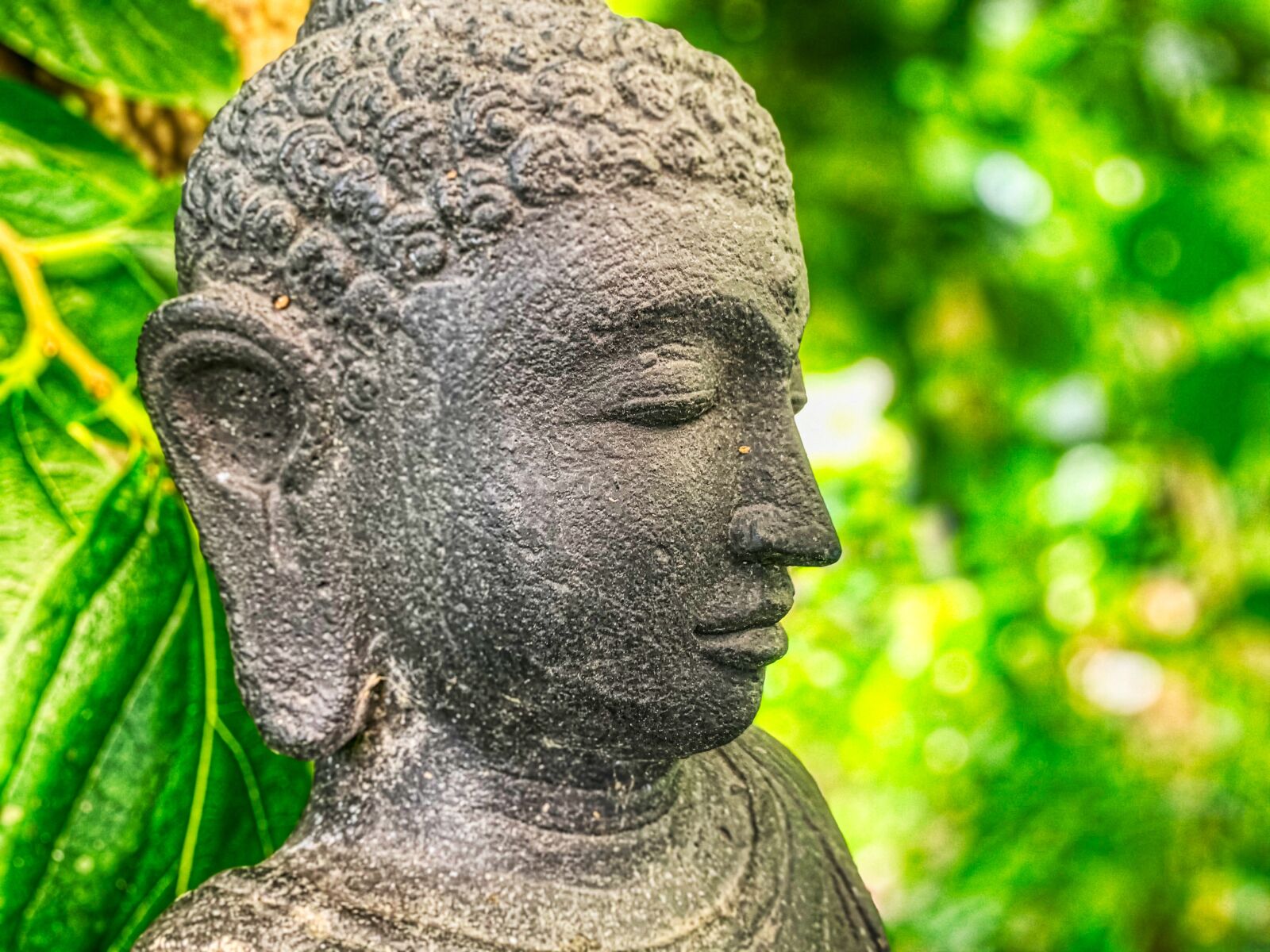 Apple iPhone XR sample photo. Buddha, tao, meditation photography