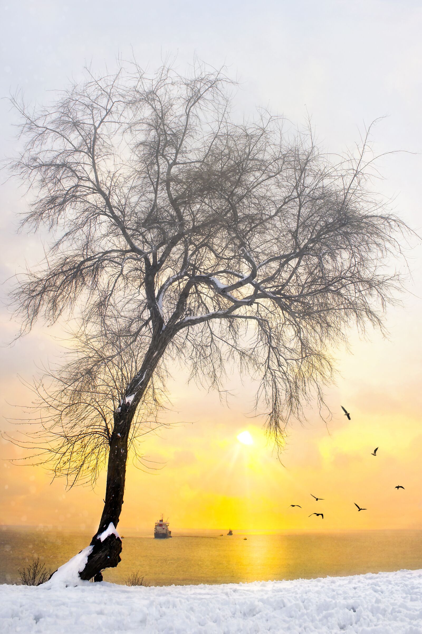 Nikon D3S sample photo. Landscape, offer, sunset photography