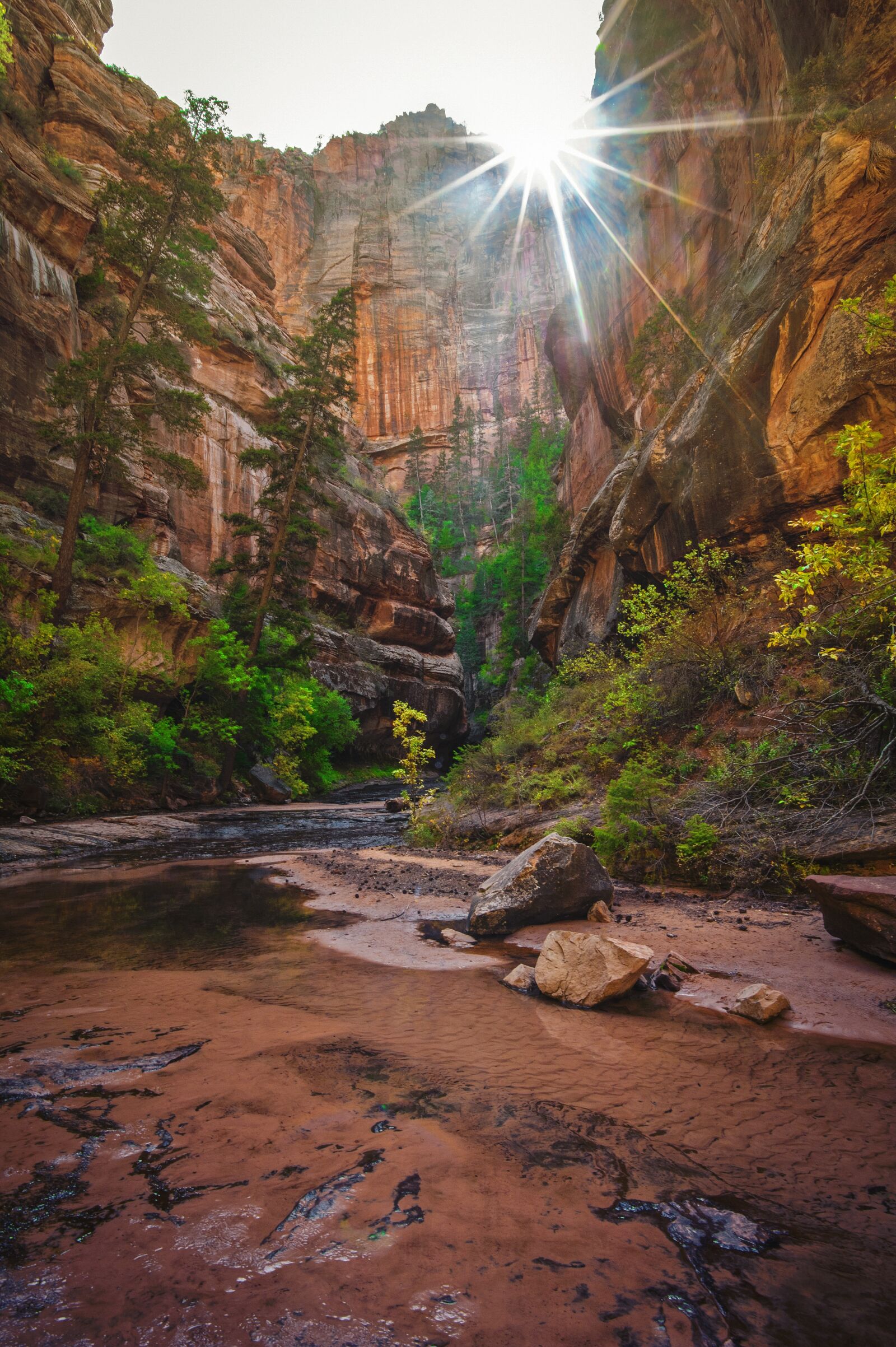 Nikon D700 sample photo. Utah, red rock, canyon photography