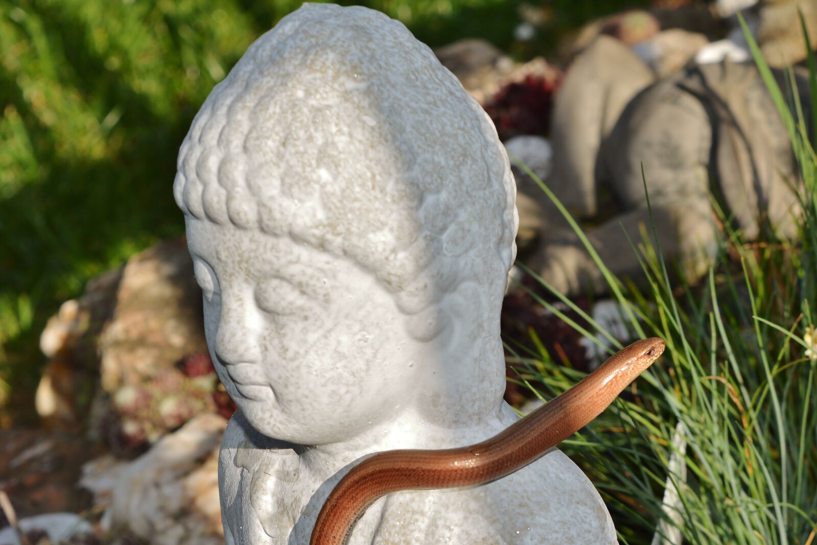 Nikon D5200 sample photo. Sculpture, slow worm, mystical photography