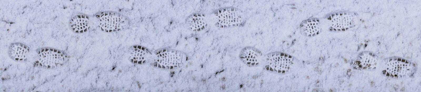 Sony a6300 sample photo. Snow, footprints, traces photography