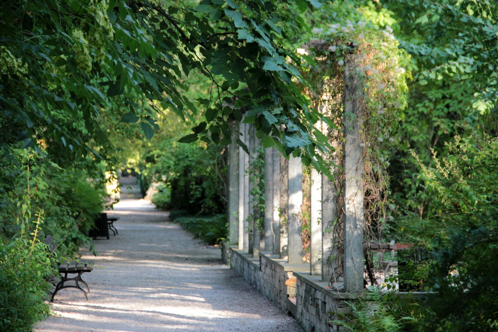 Canon EF-S 18-135mm F3.5-5.6 IS sample photo. Green, park, garden photography