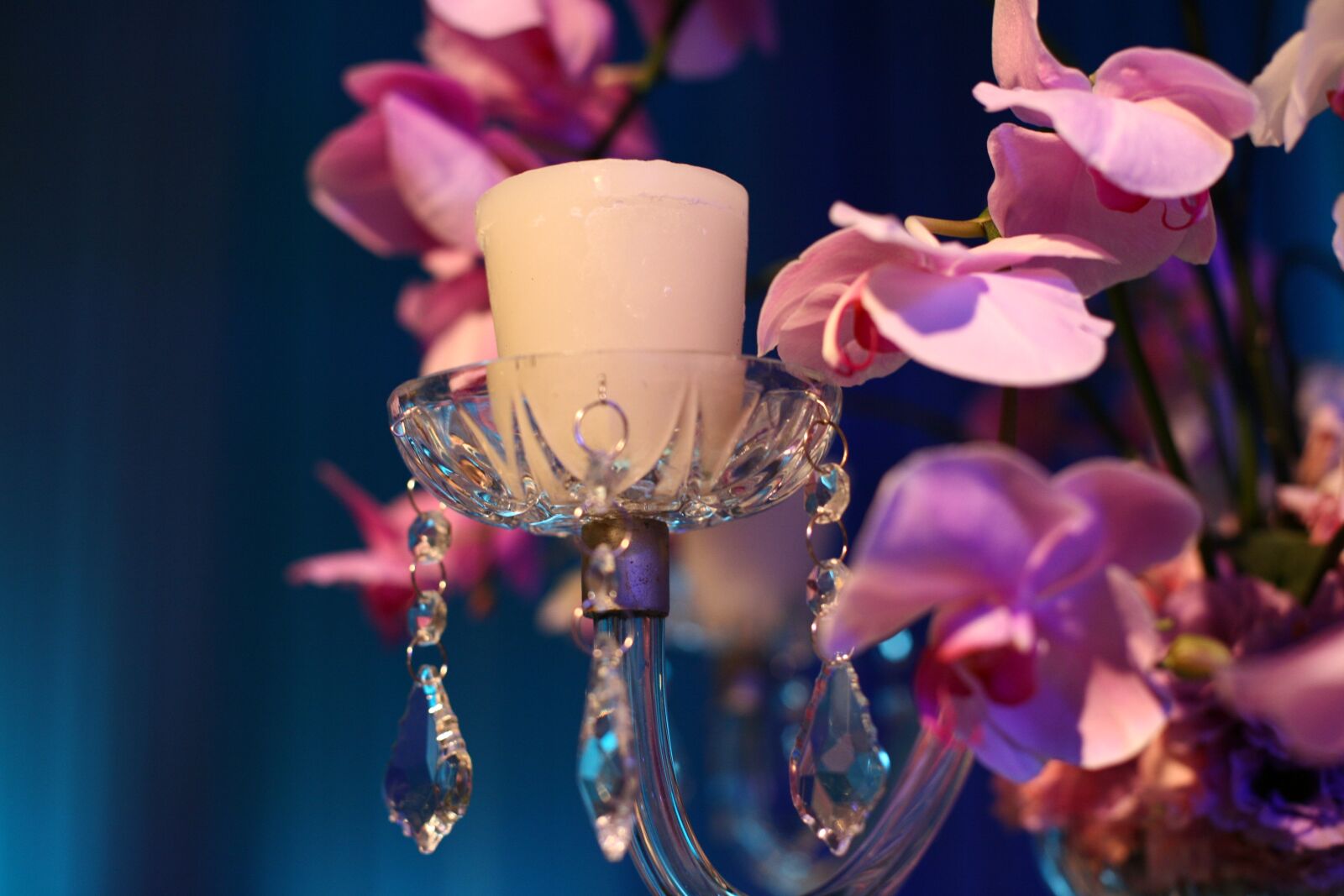 Canon EOS 5D sample photo. Decoration, candle, garnish photography