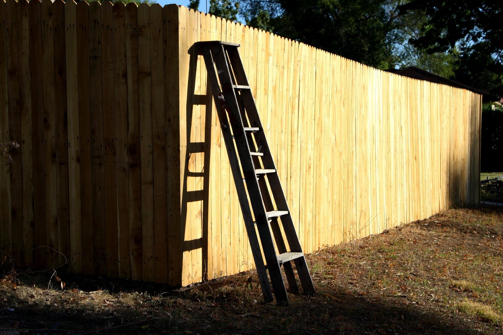 f/3.5-5.6 IS sample photo. Ladder, wooden fence, planks photography