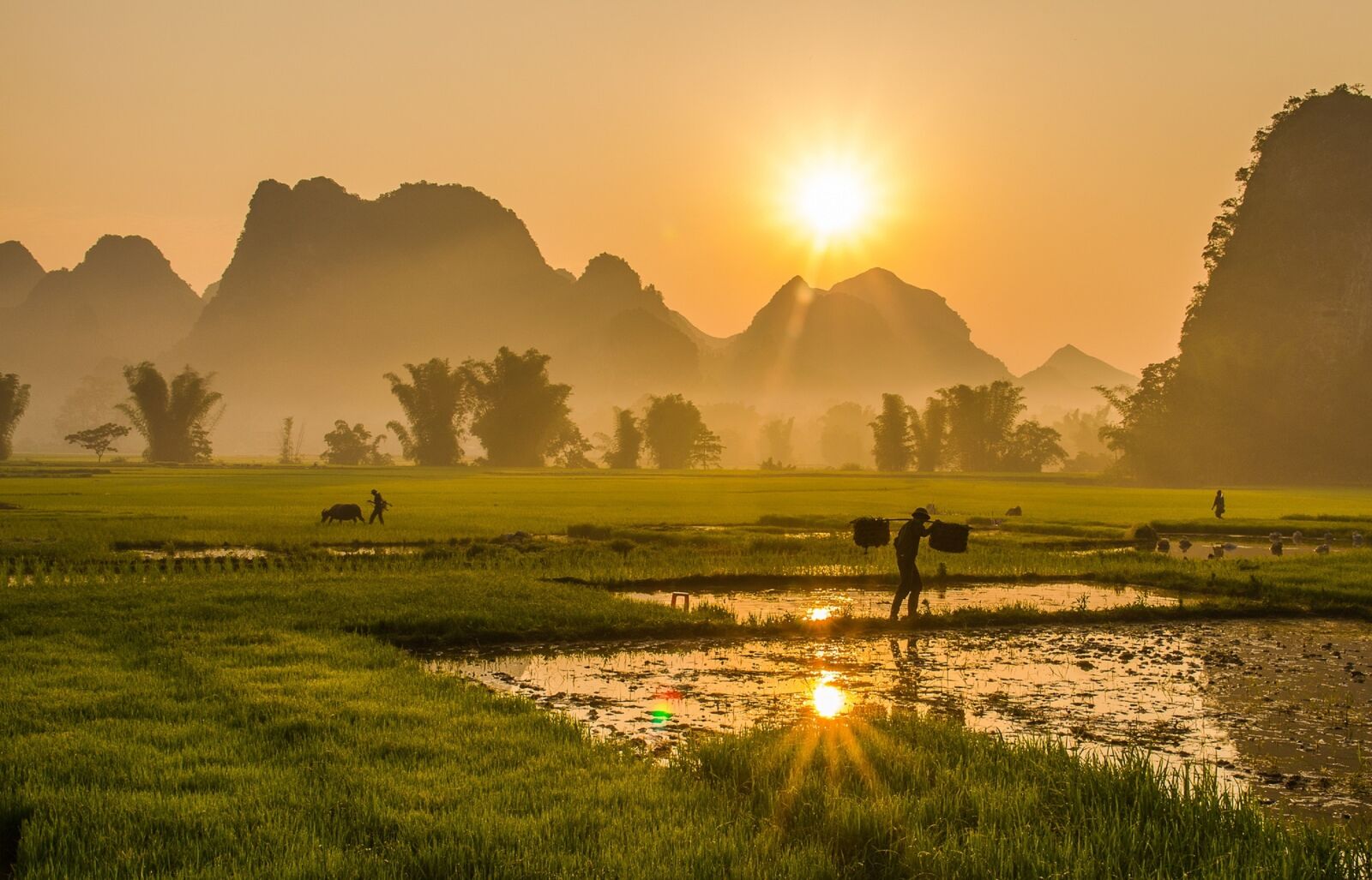 Nikon D5100 sample photo. Landscape, landscape vietnam, mountains photography