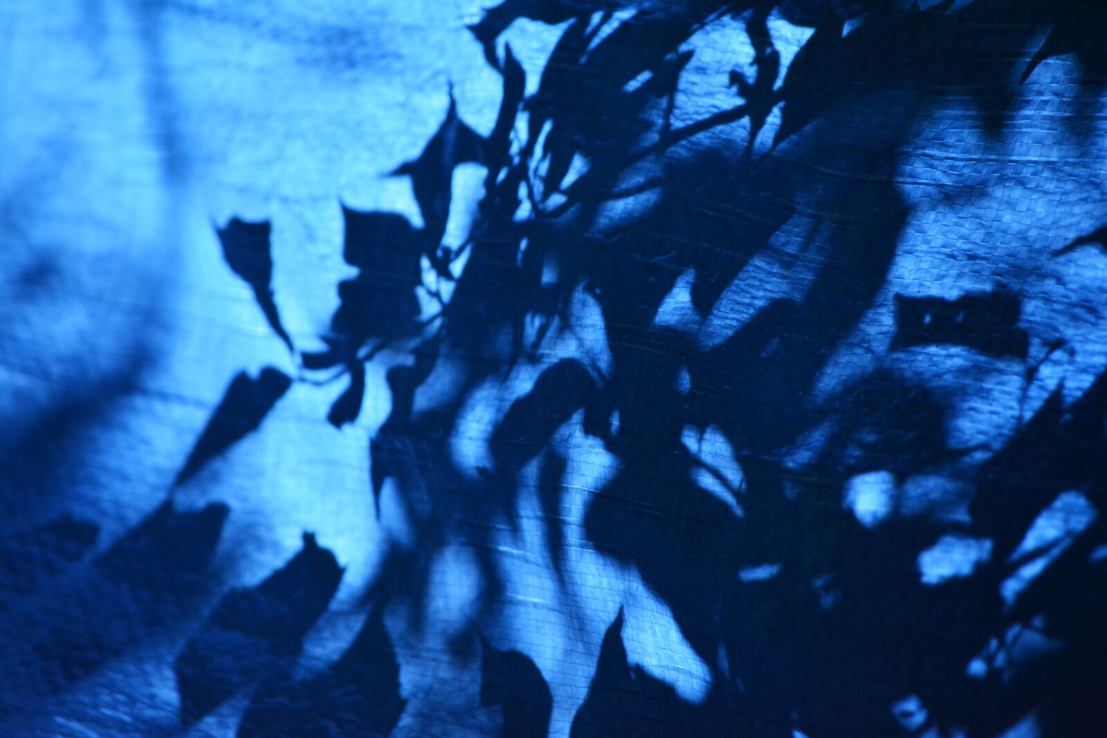 Nikon D5200 sample photo. Blue shadow, black and photography