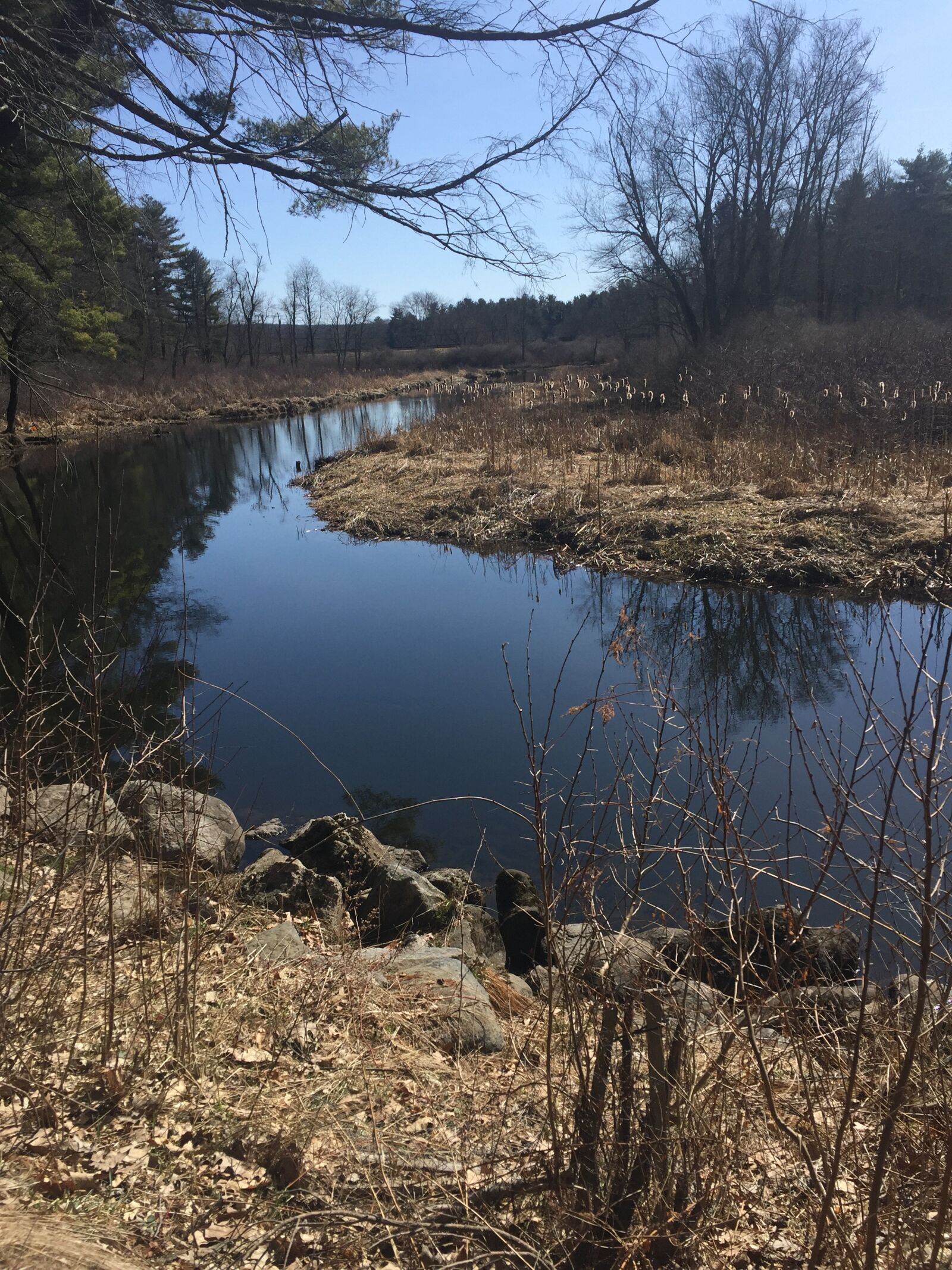 iPhone 6 back camera 4.15mm f/2.2 sample photo. Calm, serenity, water photography