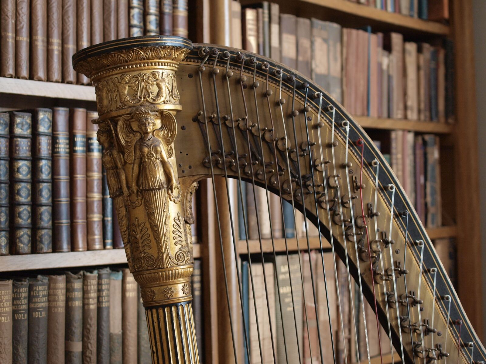 Olympus E-520 (EVOLT E-520) sample photo. Harp, music, library photography