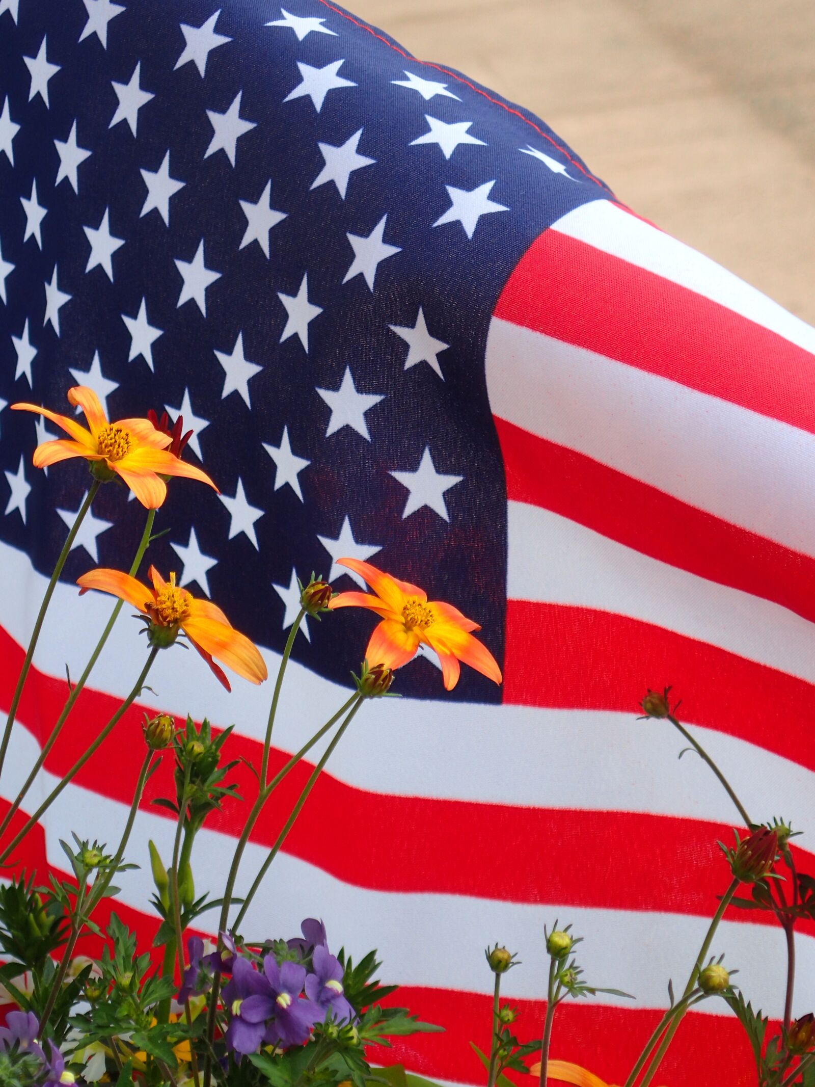 Olympus TG-3 sample photo. American flag, summer flowers photography