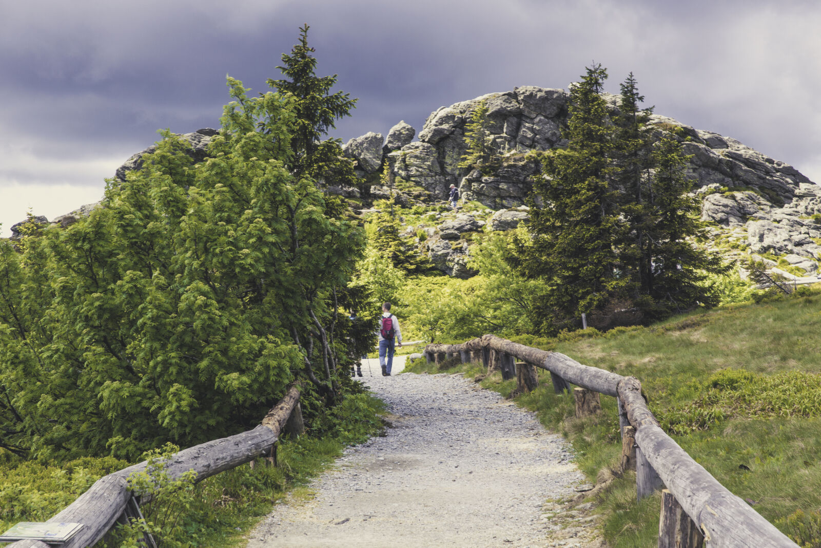 Canon EF 24-70mm F2.8L II USM sample photo. Landscape, rocks, trees, hill photography