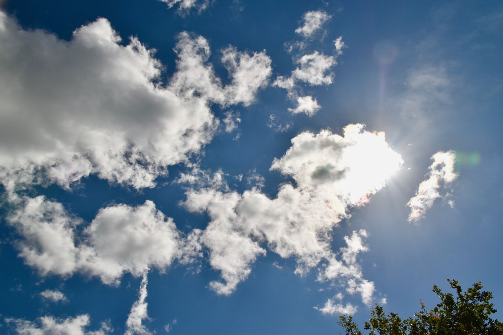 Nikon D5600 sample photo. Clouds, cloudy sky, sun photography