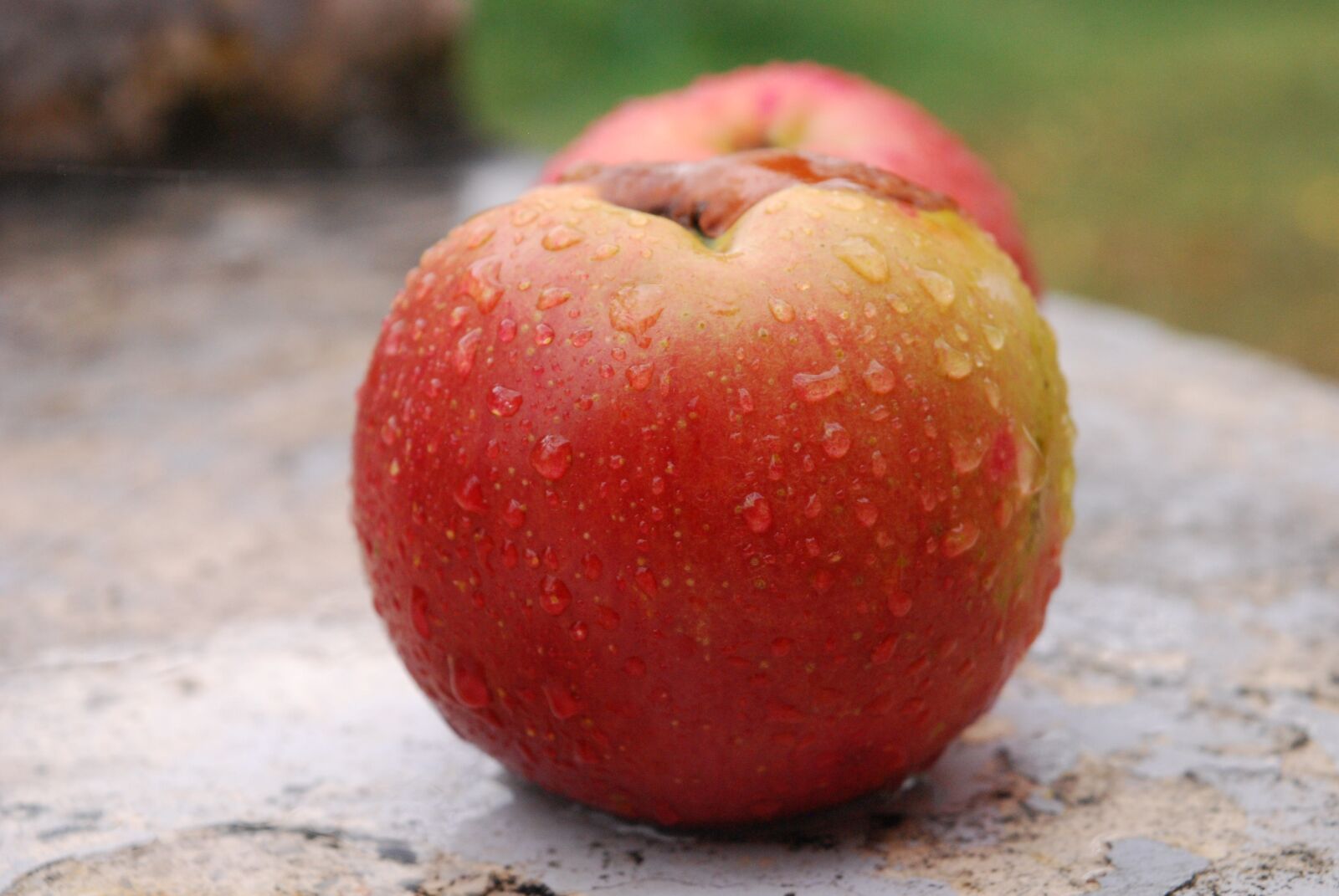 Nikon D60 sample photo. Apple, picture, fruit photography