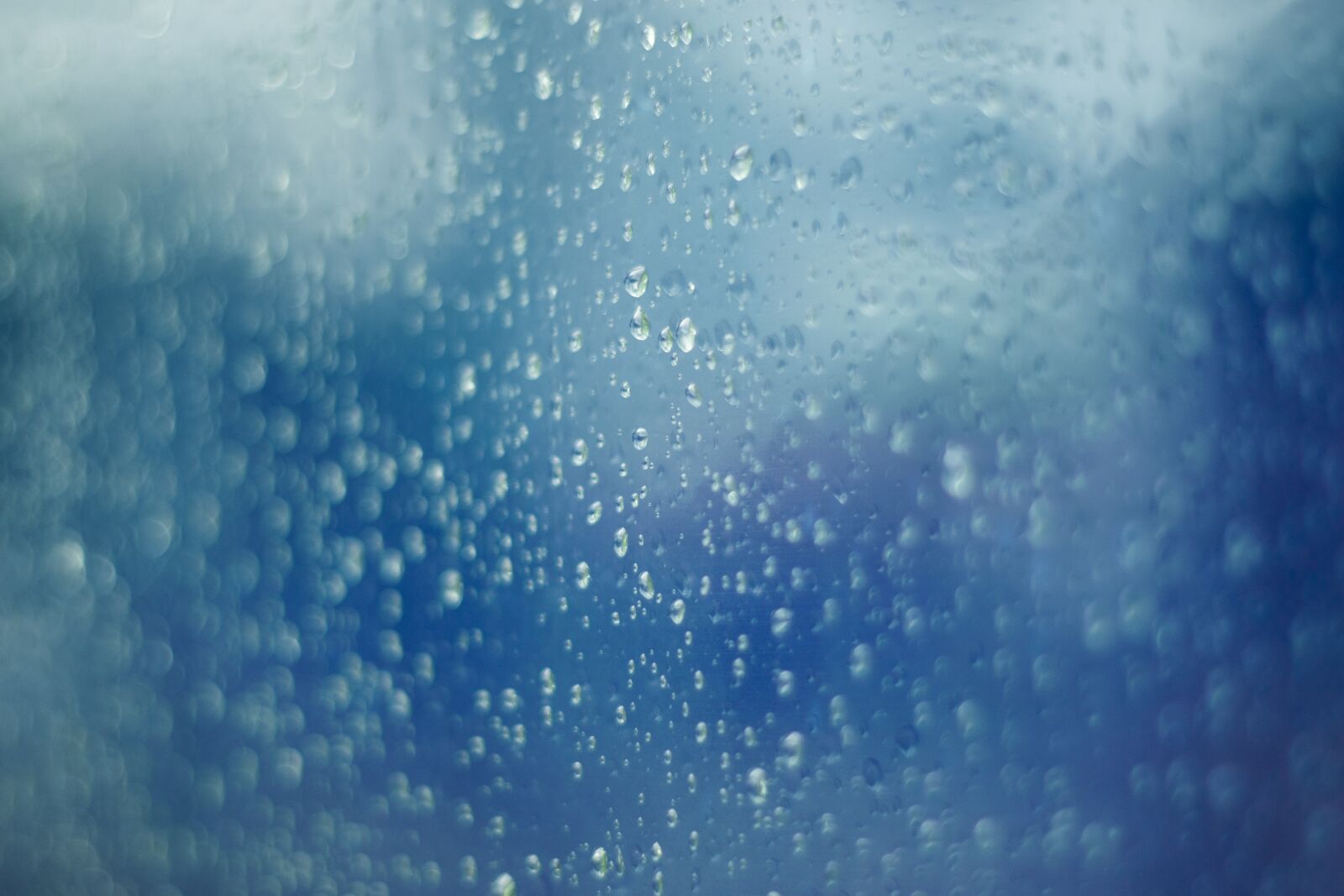 Nikon D5300 sample photo. Glass, water drops, rain photography