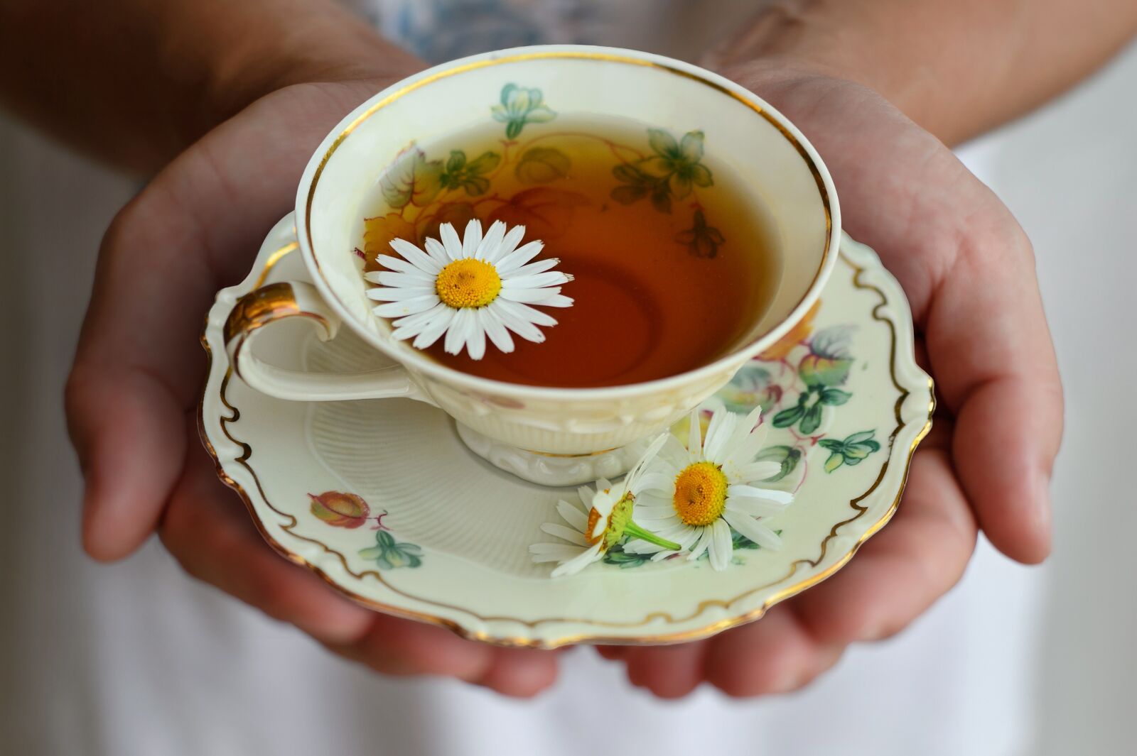 Nikon D3S sample photo. Cup, tea, porcelain photography