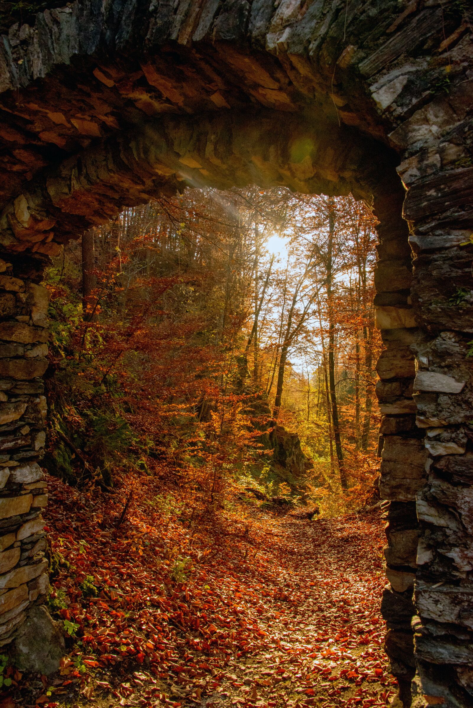 Nikon D750 sample photo. Sunset, forest, ruin photography