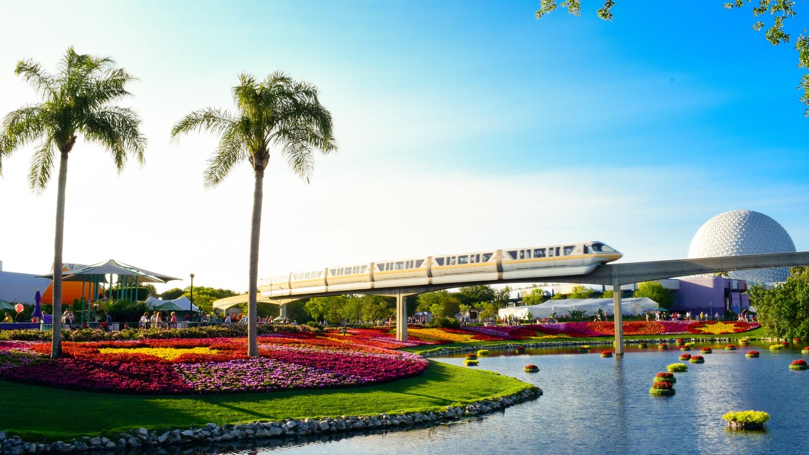 Nikon D7200 sample photo. Parks, orlando, florida photography