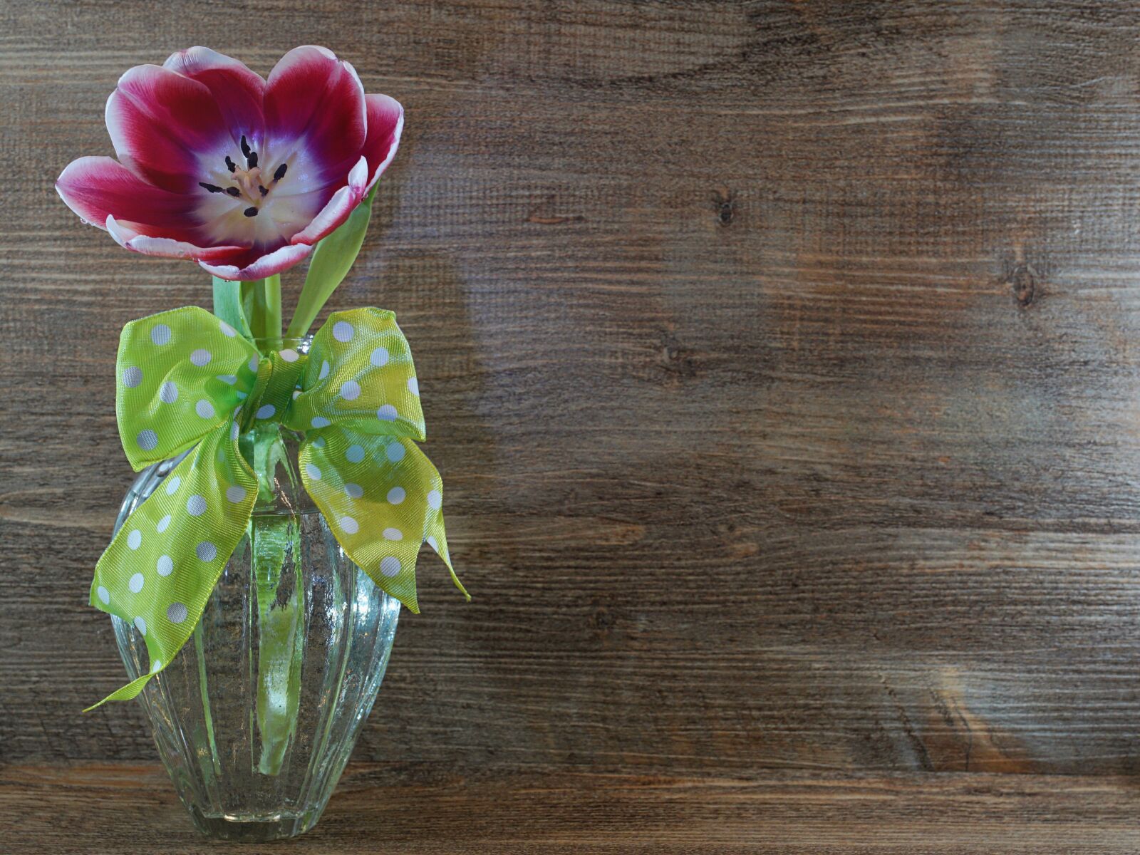 Sony ILCA-77M2 + 35mm F1.4 sample photo. Tulip, vase, woods photography