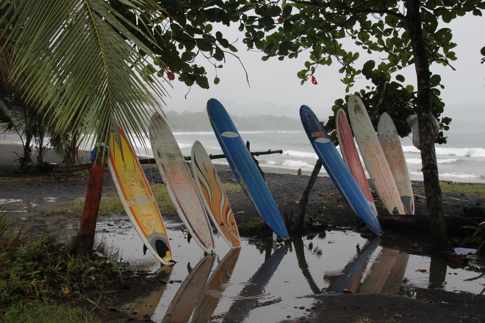 Canon EOS 1100D (EOS Rebel T3 / EOS Kiss X50) sample photo. Surfing, sports, ocean photography