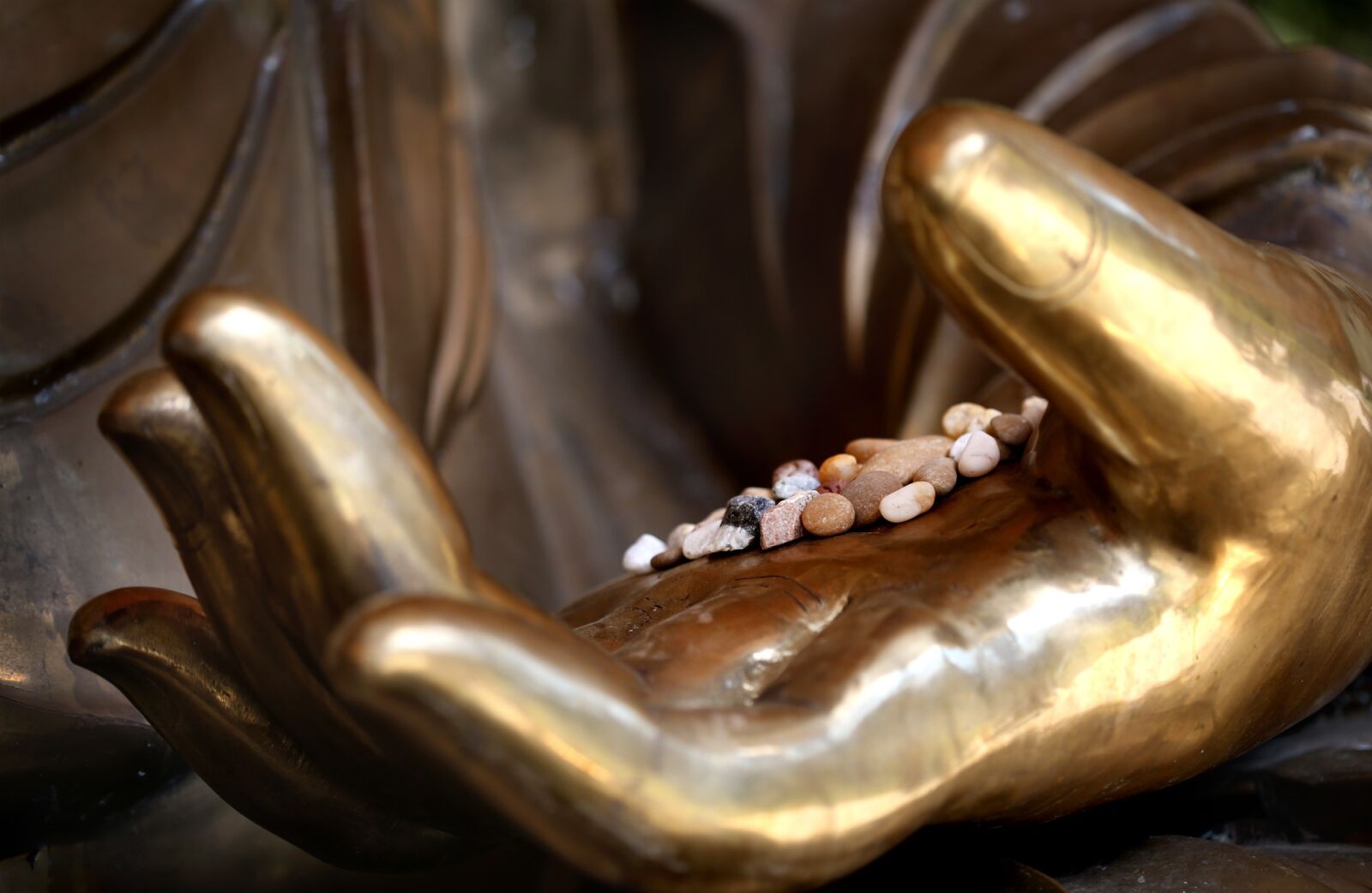 Canon EF 100mm F2.8 Macro USM sample photo. Buddha, meditation, buddhism photography