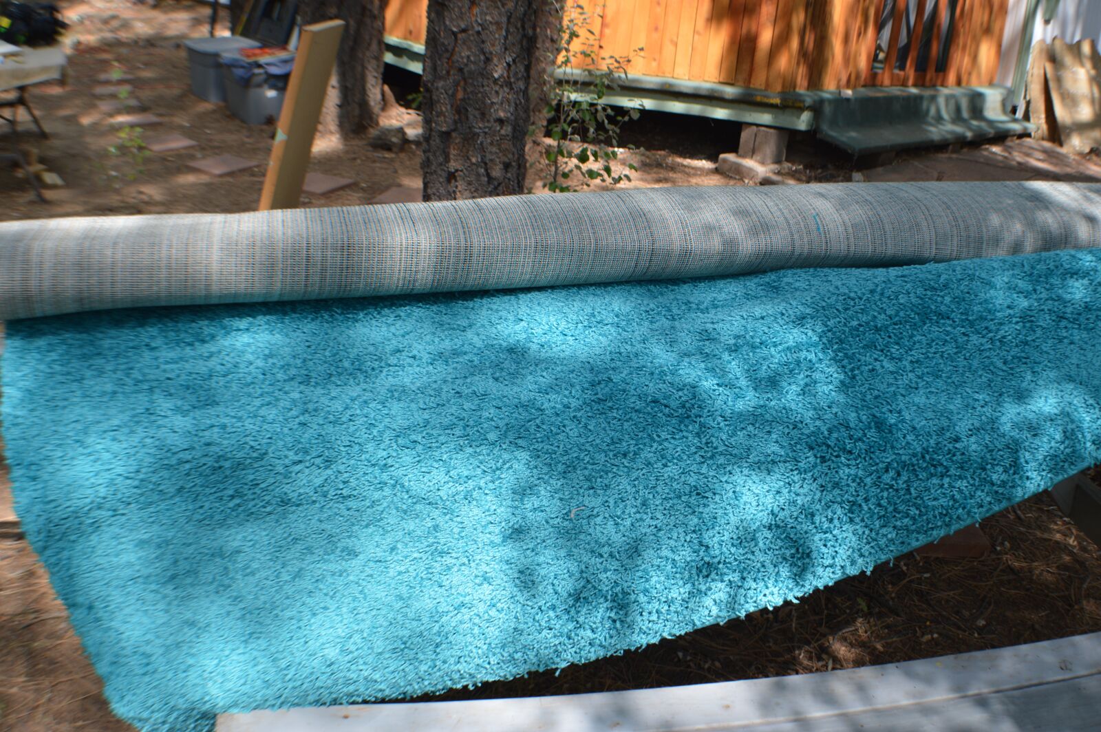 Nikon D3200 sample photo. Blue, carpet, rug photography