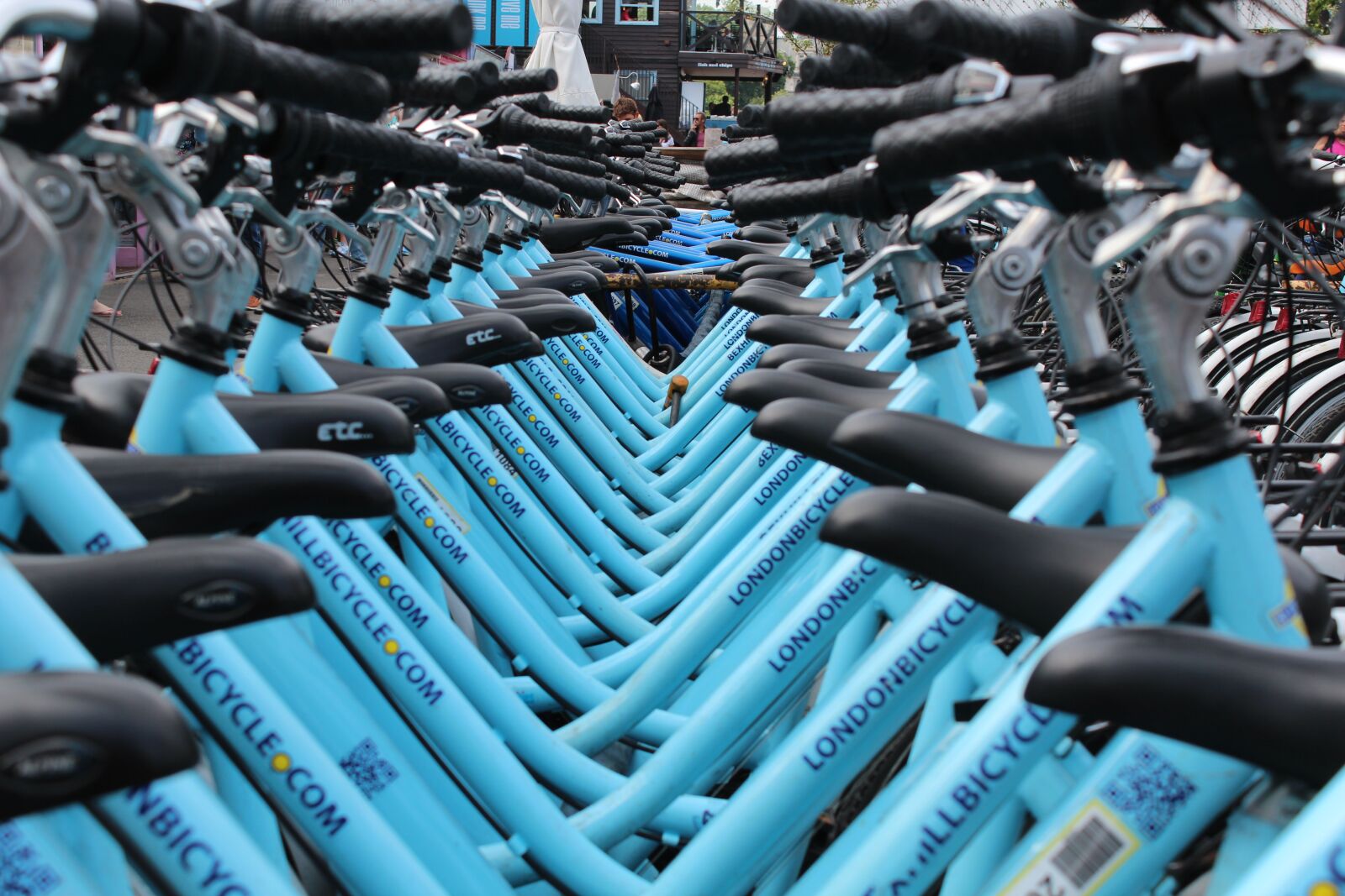 Canon EOS 600D (Rebel EOS T3i / EOS Kiss X5) sample photo. Bicycles, wheels, cycling photography