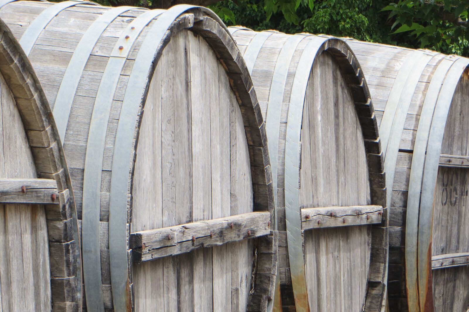 Canon PowerShot SX260 HS sample photo. Vineyard, wine, barrel photography