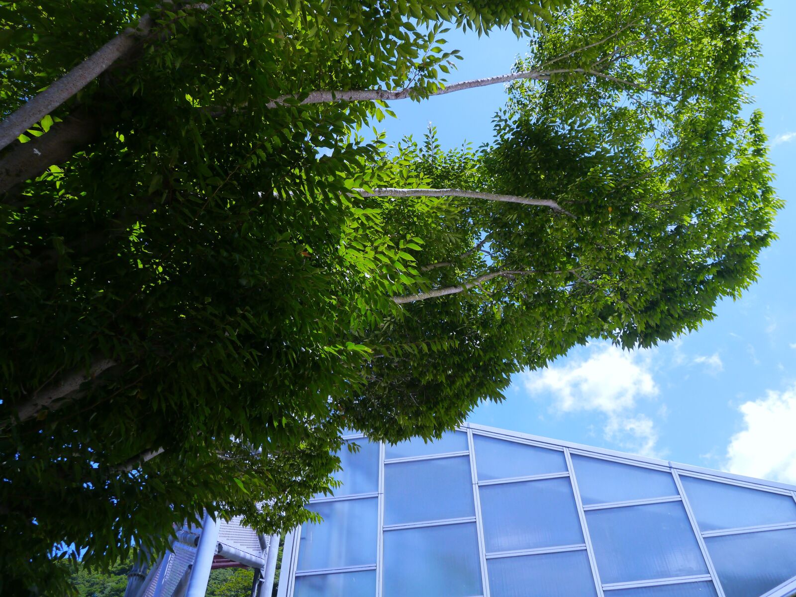 Panasonic Lumix DMC-GX1 sample photo. Sky, cloud, wind photography