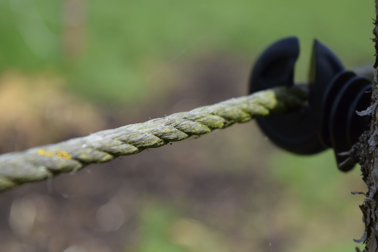 Nikon D3300 sample photo. Fence, electric fence, pasture photography