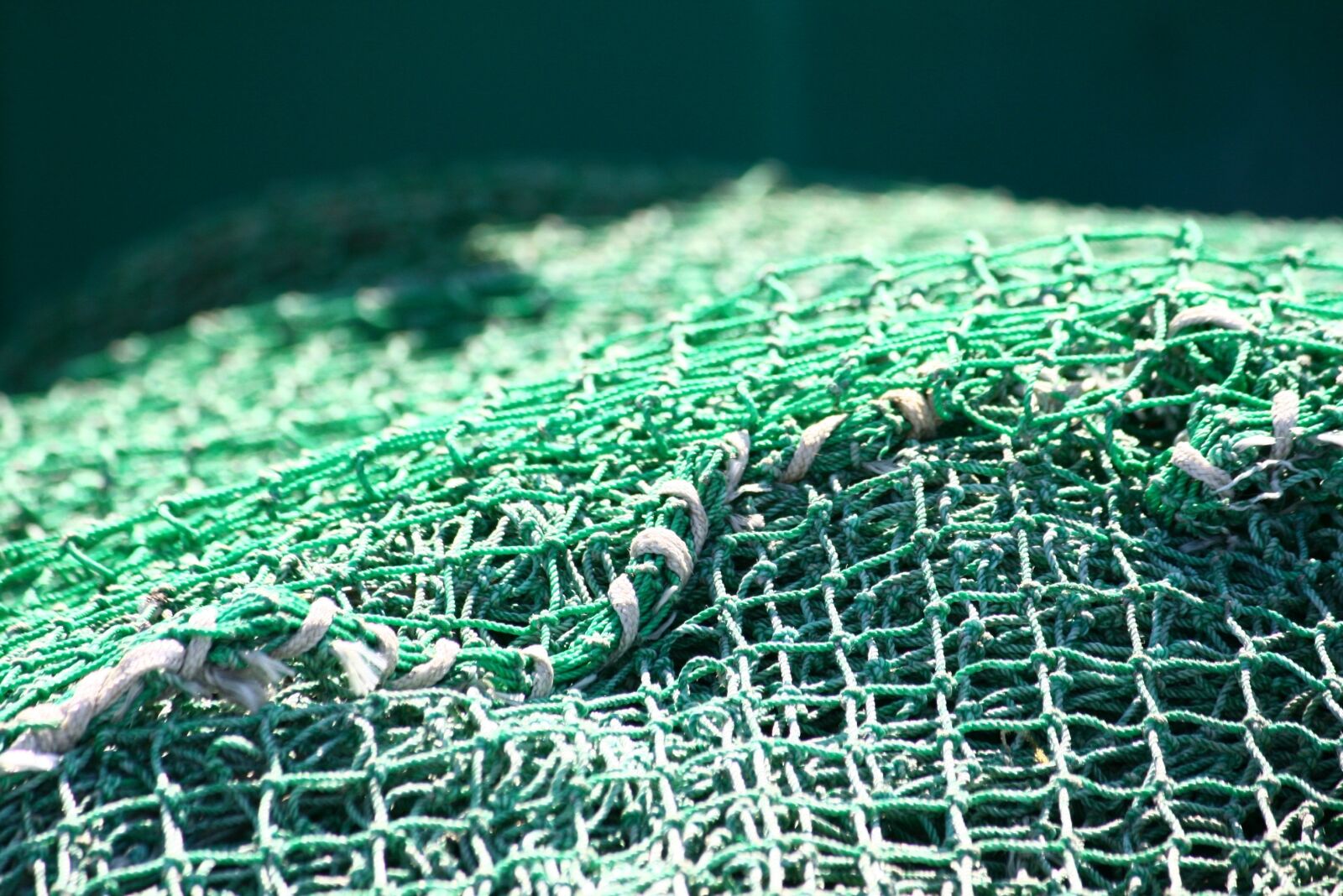 Canon EOS 400D (EOS Digital Rebel XTi / EOS Kiss Digital X) sample photo. Fishing industry, harbor atmosphere photography