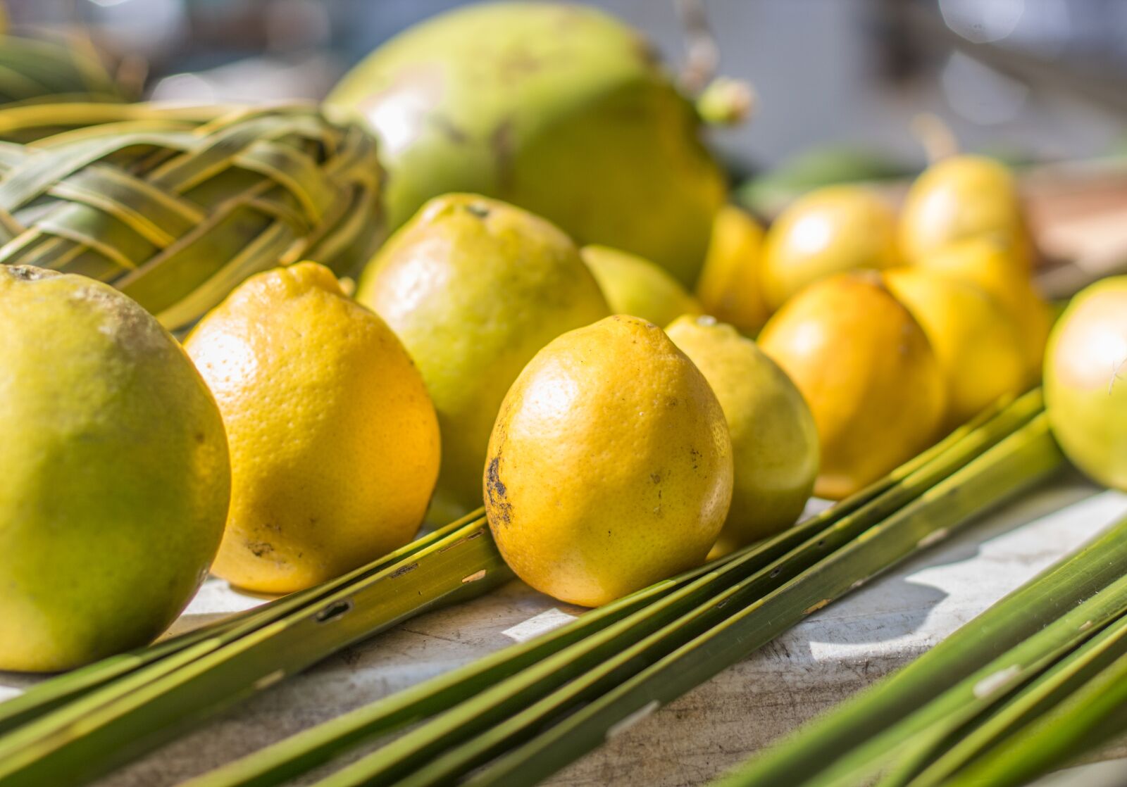 Canon EF 50mm F1.4 USM sample photo. Hawaii, farmer market, lemons photography