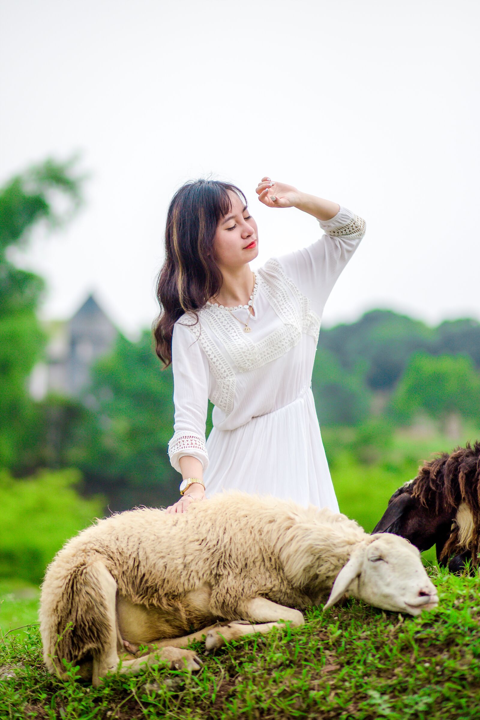 Canon EF 85mm F1.8 USM sample photo. Girl, white skirt, sheep photography