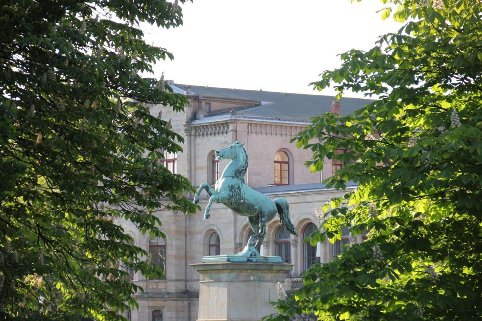 Canon EOS 550D (EOS Rebel T2i / EOS Kiss X4) sample photo. University, hanover, castle photography