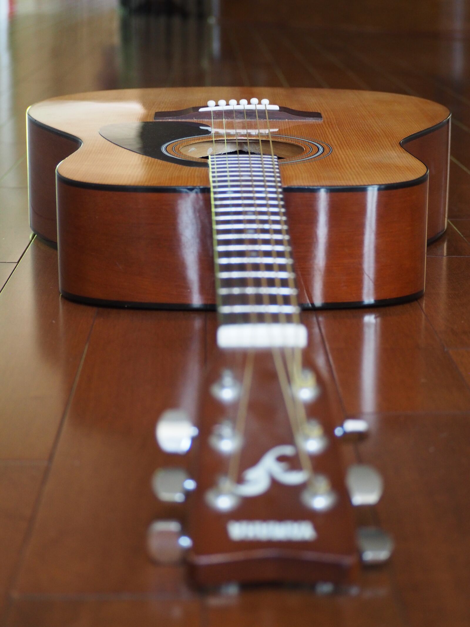 Olympus OM-D E-M10 sample photo. Guitar, music, instrument photography