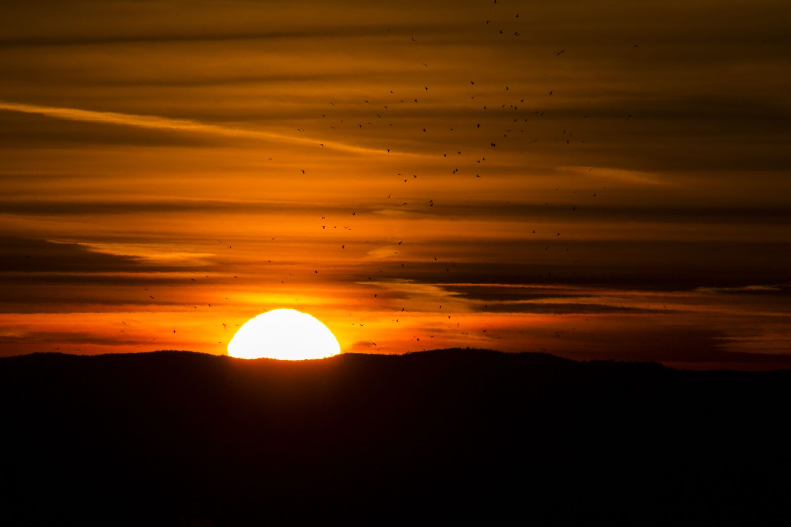 Canon EOS 70D sample photo. Sunrise, landscape, nature photography