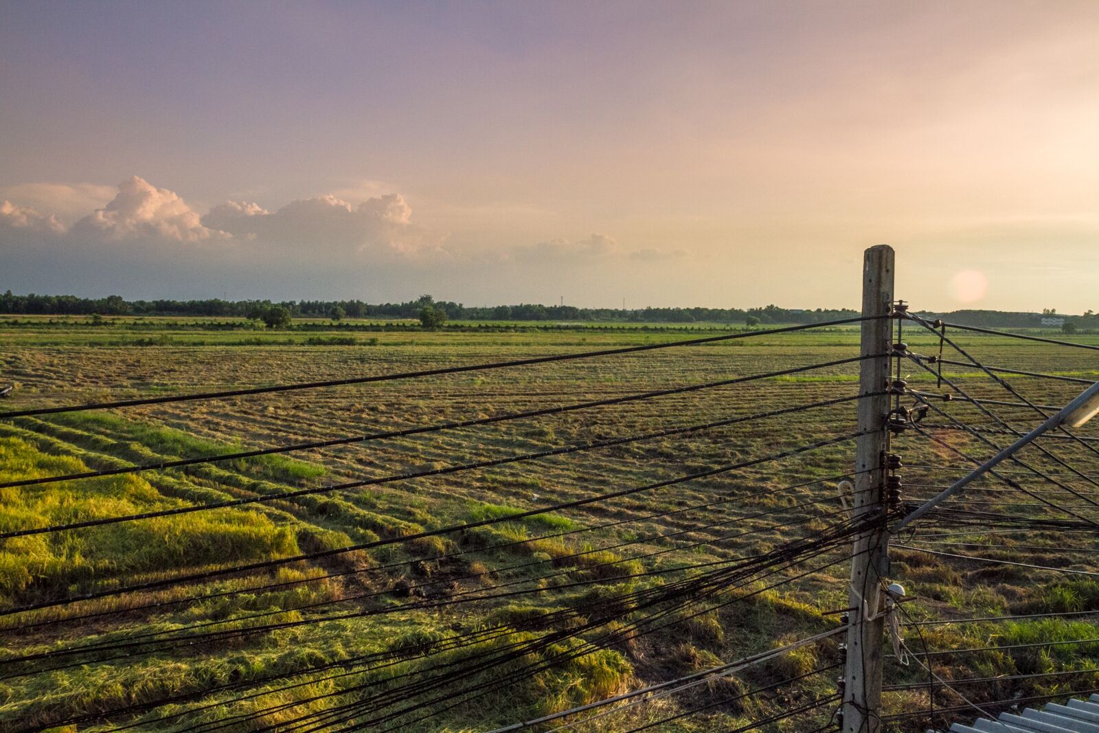 Canon EOS 7D sample photo. Thailand, fields, farm photography