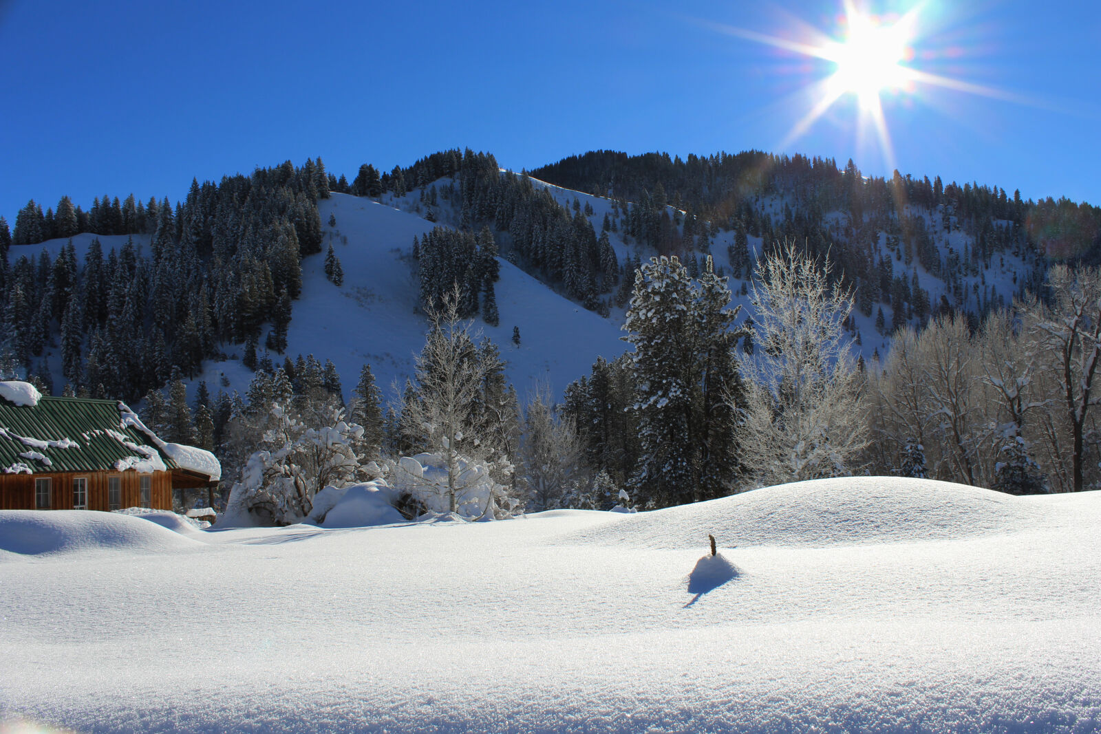 Canon EOS 1200D (EOS Rebel T5 / EOS Kiss X70 / EOS Hi) sample photo. Sun, and, snow photography