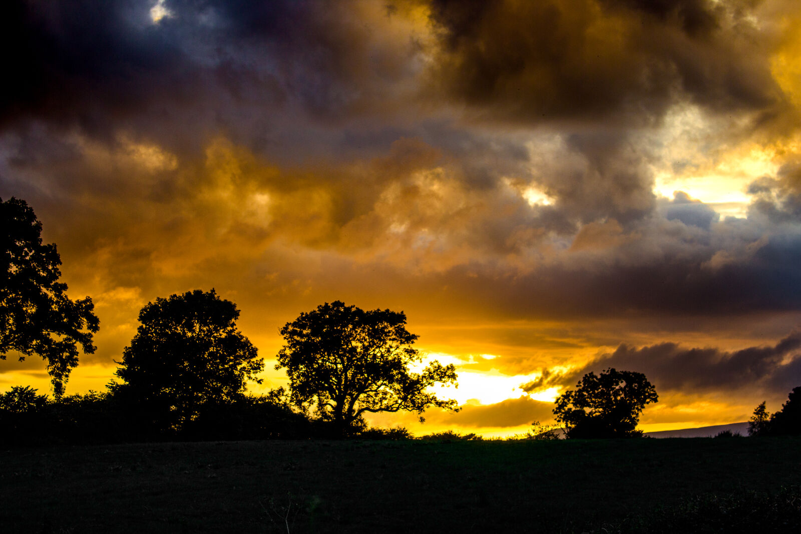 Canon EOS 1200D (EOS Rebel T5 / EOS Kiss X70 / EOS Hi) sample photo. Silhouette, trees, against, dramatic photography