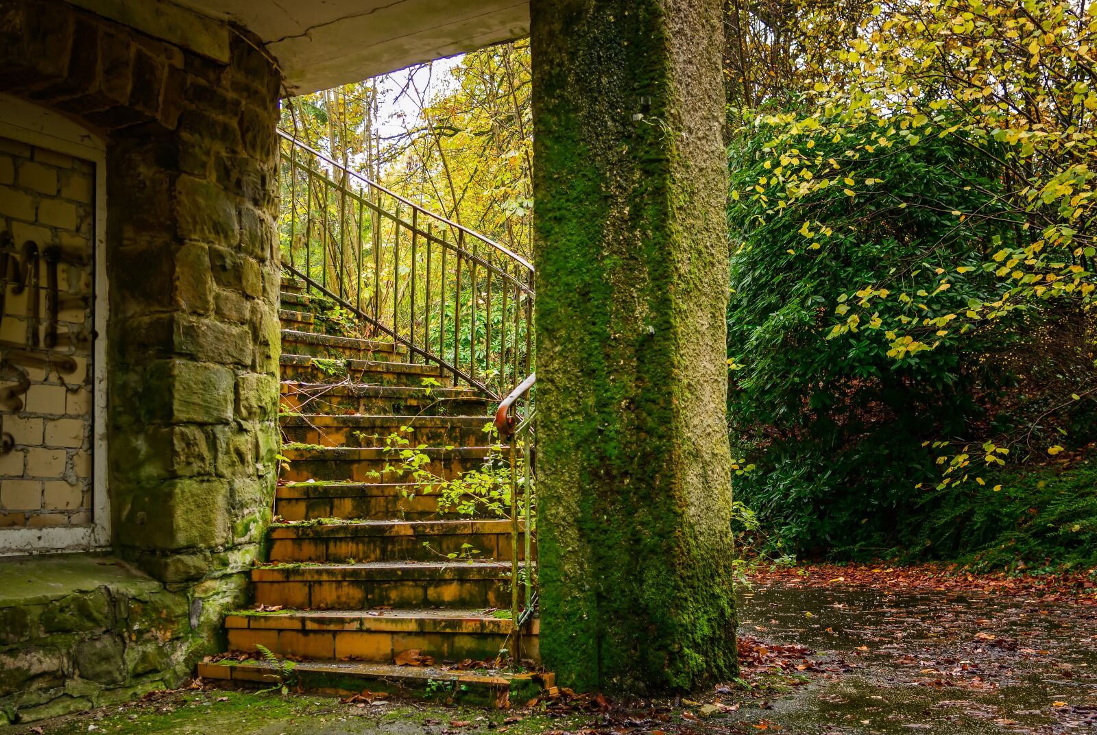 Nikon D3300 sample photo. Stairs, lost places, pforphoto photography