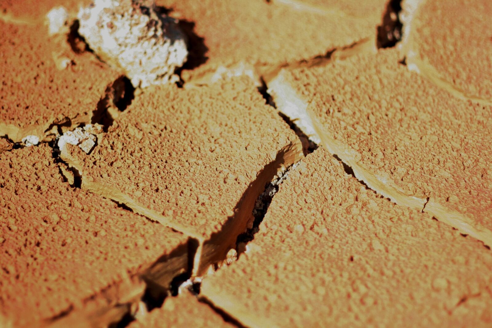 Canon EOS 400D (EOS Digital Rebel XTi / EOS Kiss Digital X) sample photo. Soil, cracked earth, sticky photography
